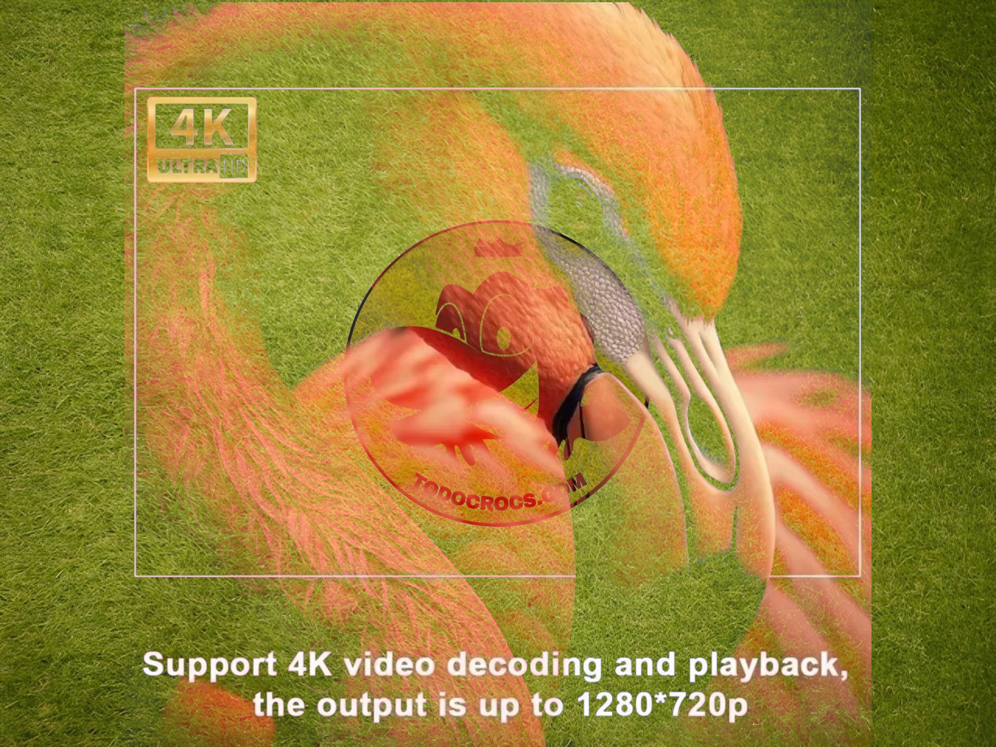 Proyector HD Android