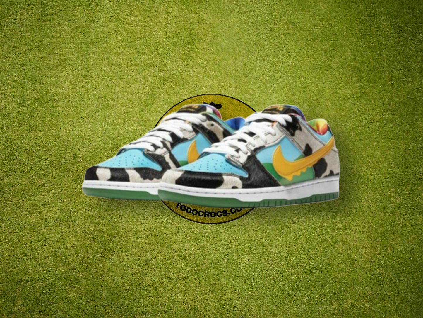 Nike x Chunky Dunky